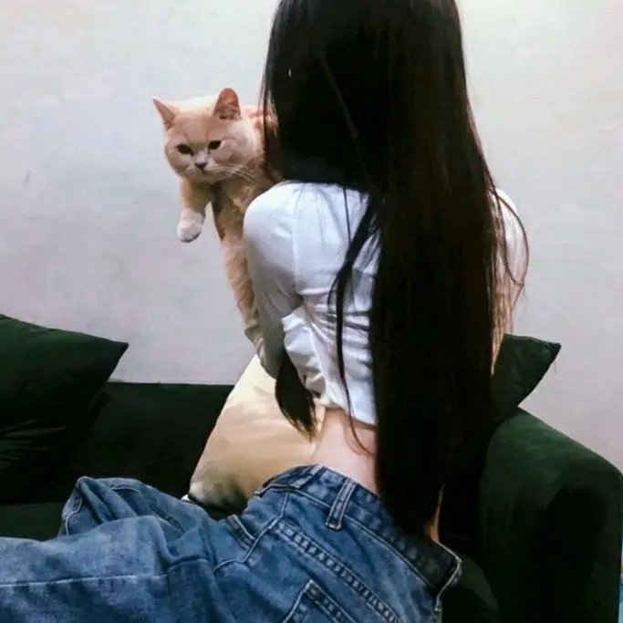 情网